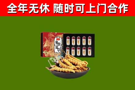 长白县回收冬虫夏草价格